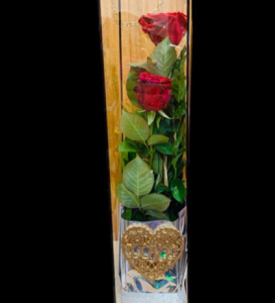 Summer Love - 2 Red Roses & foliage in a clear rectangular tube with handle