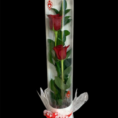 FIRST DATE - 2 Red roses in a presentation box finished with Hearts & a Bow
