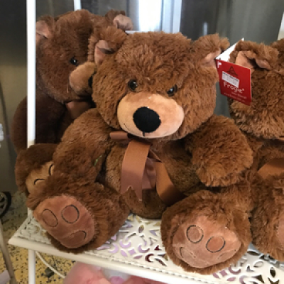 Bear  - Brown blue pink 