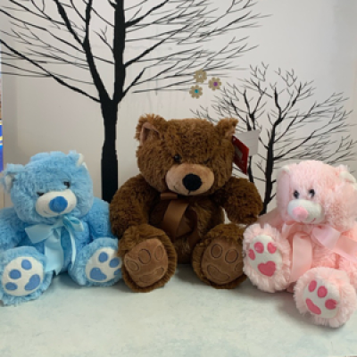 Teddy - Assorted bears change due to suppliers Sml Med Lge