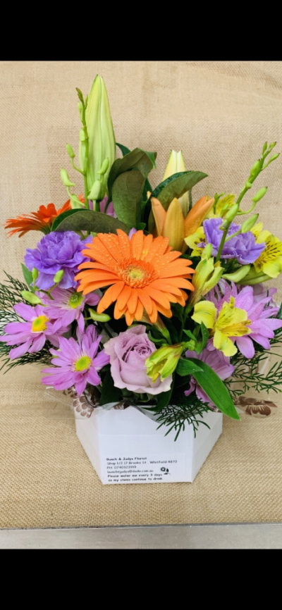 Mixed Box Arrangement - Mixed box arrangement filled with assorted blooms that may include some Lily’s carnations orchids Gerberas chrysanthemums etc. some flowers may vary due to availability or a similar substitute will be used. Some colours may vary.
