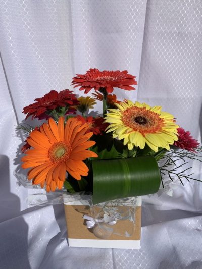 Happy Gerberas - A box of bright mixed coloured Gerberas & happy plant leaves bursting with colour. Gerbera colours may vary due to availability or similar colours will be used.