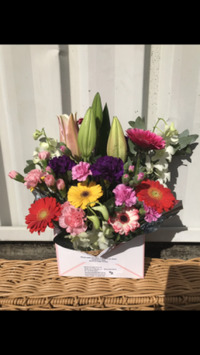 Send A Letter 2 - An Envelope shaped box with assorted blooms that may include orchids gerberas carnations roses etc depending on availability on the day of delivery , box colours & flowers may differ from photo.flowers substituted will be the same or greater value  Great for hospitals or a work desk or for any occasion.

MEDIUM PICTURE IS SHOWN